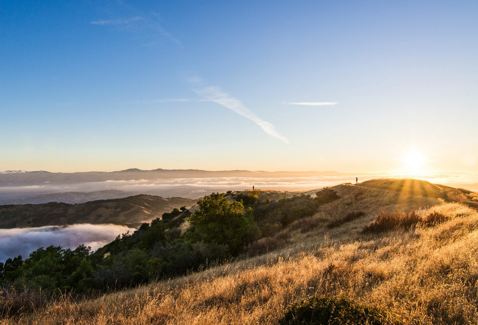 Rolling golden hills of the Santa Clara Valley